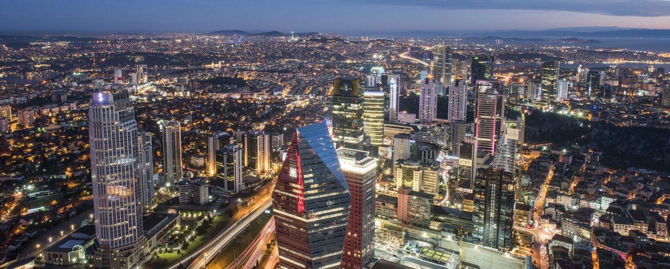 business turkey