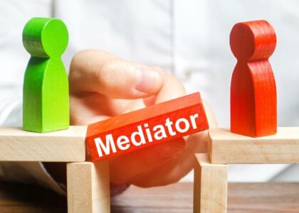 mediator turkey